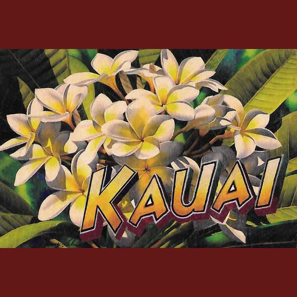 Wooden Kauai Postcard - Plumeria, by Hawaiian Woody's , Home - Hawaiian Woody's, The Kauai Store
 - 1